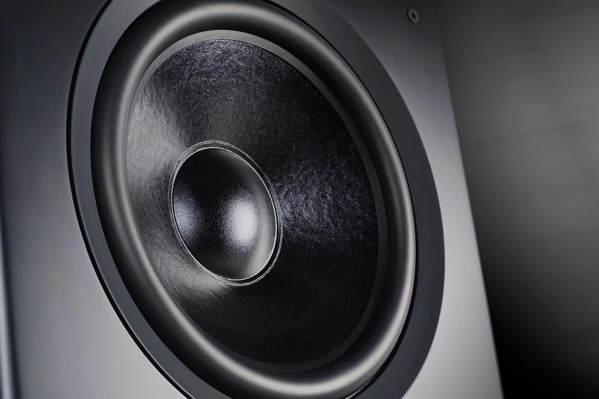 Close-up of the black cone of the bass driver and its rubber surround