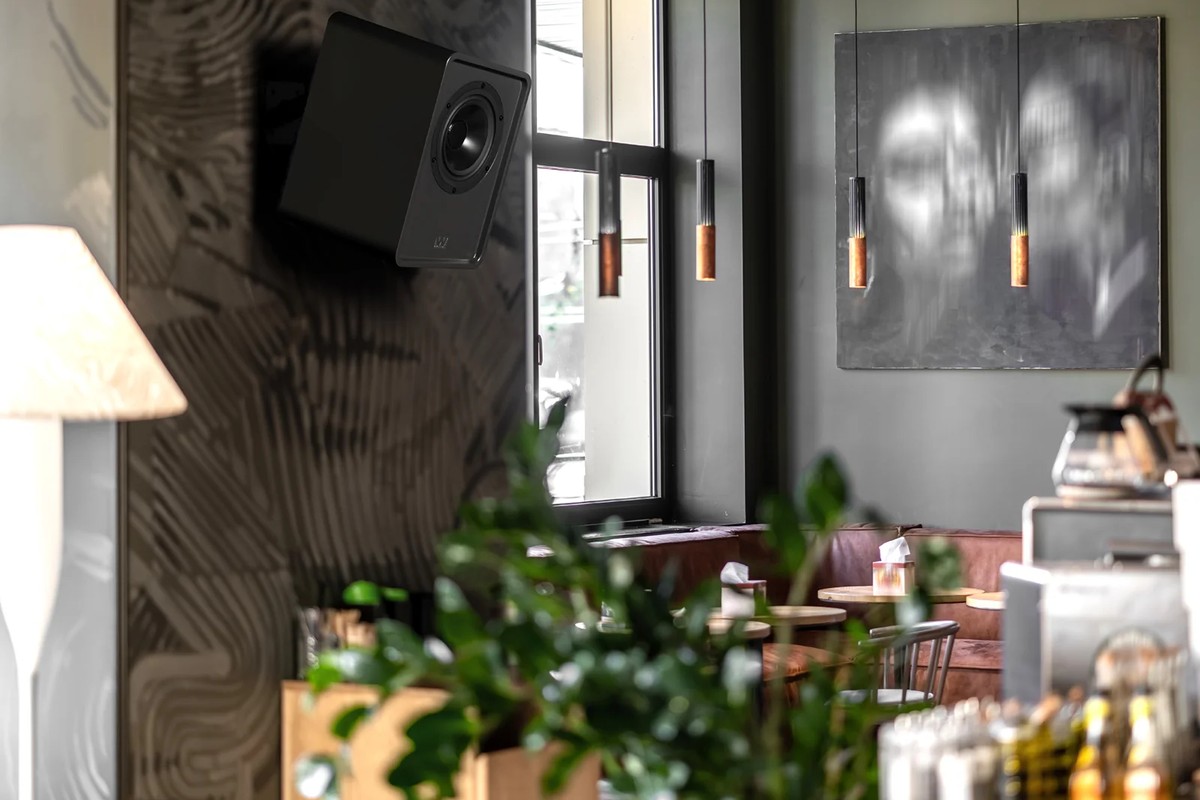 Black speaker mounted high on a wall, in an interior with plants and a large window