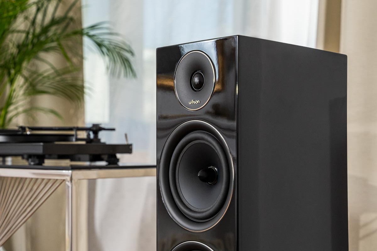 Enceinte colonne laquée noire près d'une platine vinyle et d'un palmier