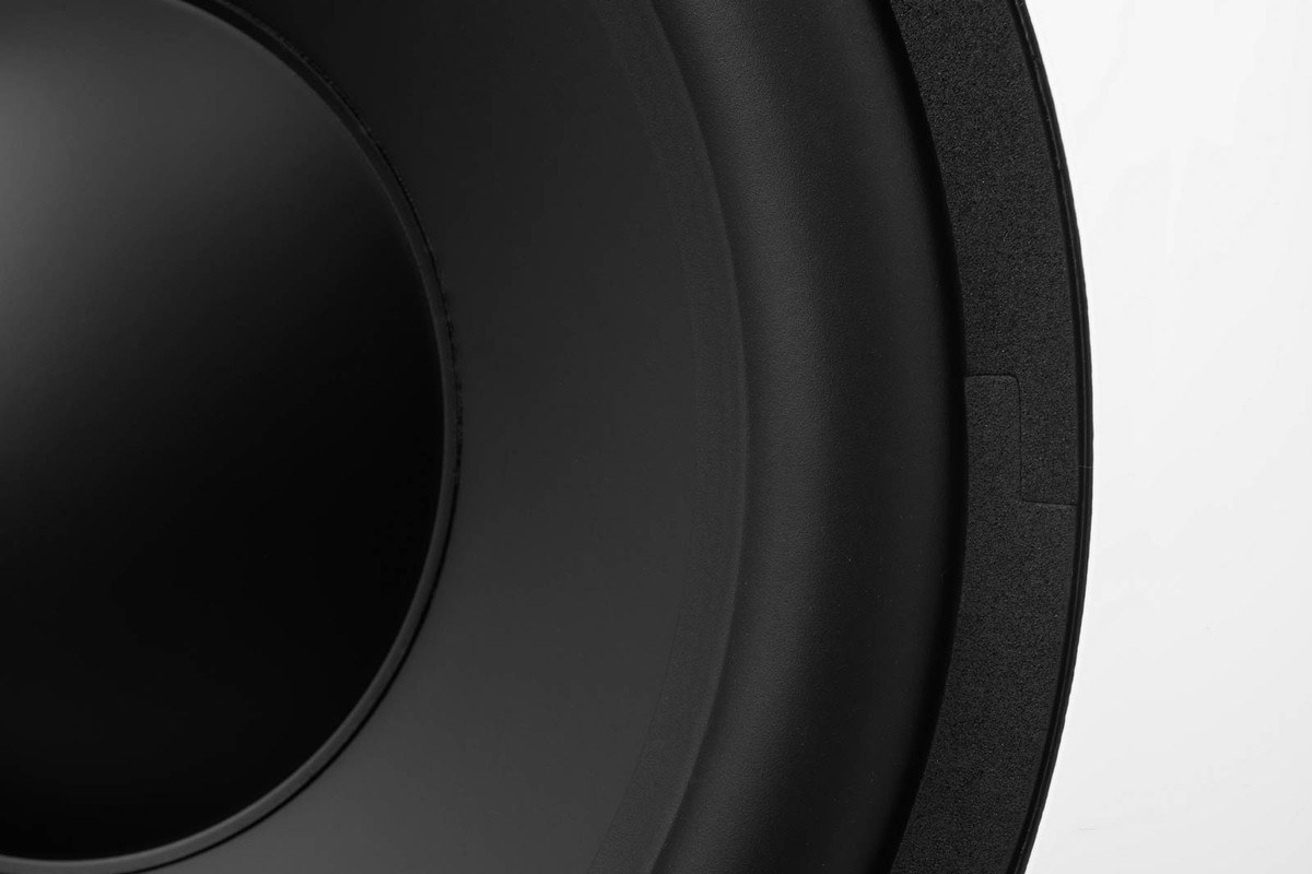 Close-up of the black cone and the surround of the woofer